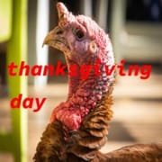 thanksgiving day dinner