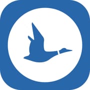 Blue Duck