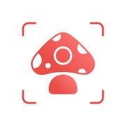 Picture Mushroom - Mushroom ID